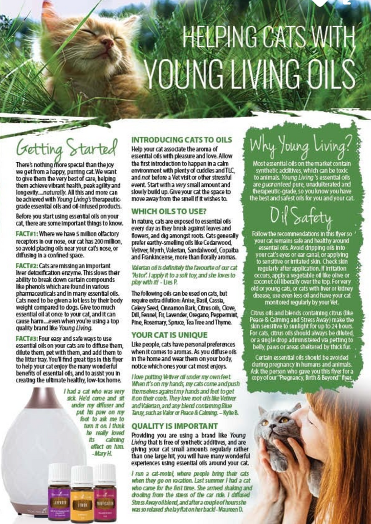 helping-cats-with-young-living-oils-flyers-5-for-a-pack-of-10-four